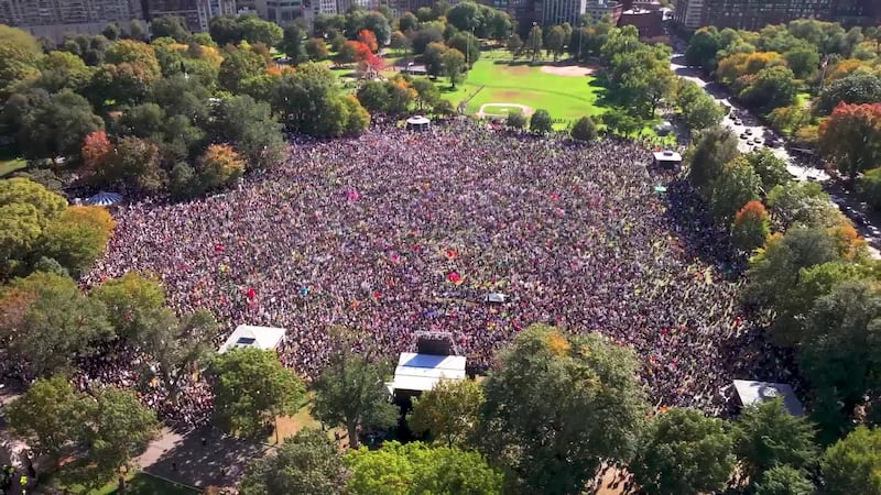 ci5mo4frxfhznflt3fpyzzomci