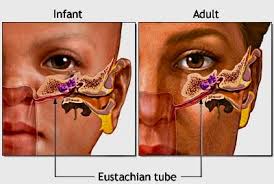 මෙරට ප්රථමවරට Endoscopic Eustachian Tube Surgery සැත්කම හඳුන්වාදෙයි images (2)