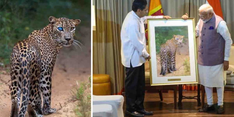 සජිත් දිල්ලි ගිහින් sajith modi 1 750x375 1