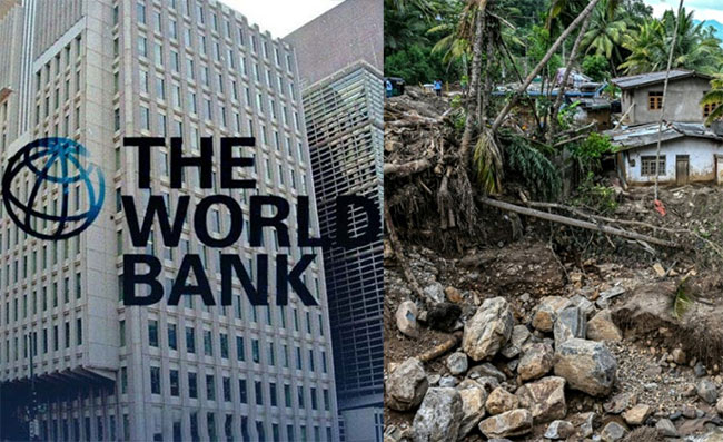 1766412902 world bank report