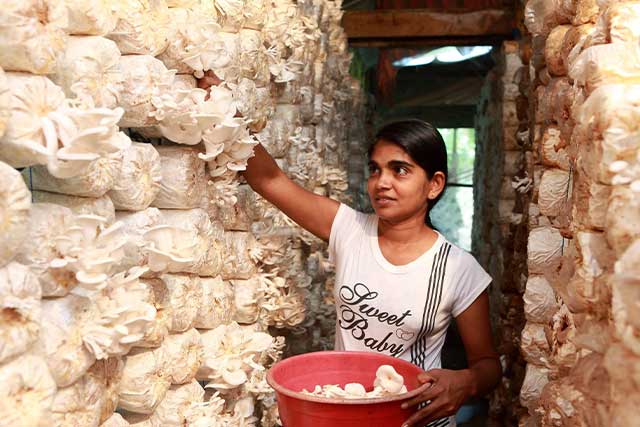 ශ්රී ලංකාවේ ක්ෂුද්ර මූල්ය හා මුදල් ණය සඳහා නව යුගයක් image09