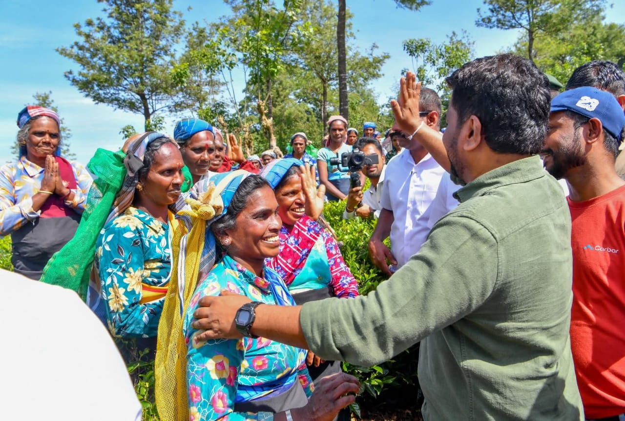 whatsapp image 2026 02 11 at 3.09.05 pm