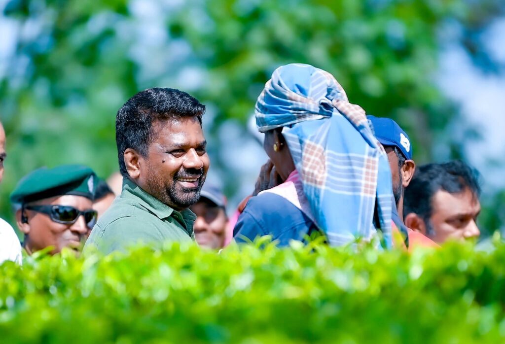 whatsapp image 2026 02 11 at 3.09.07 pm (1)