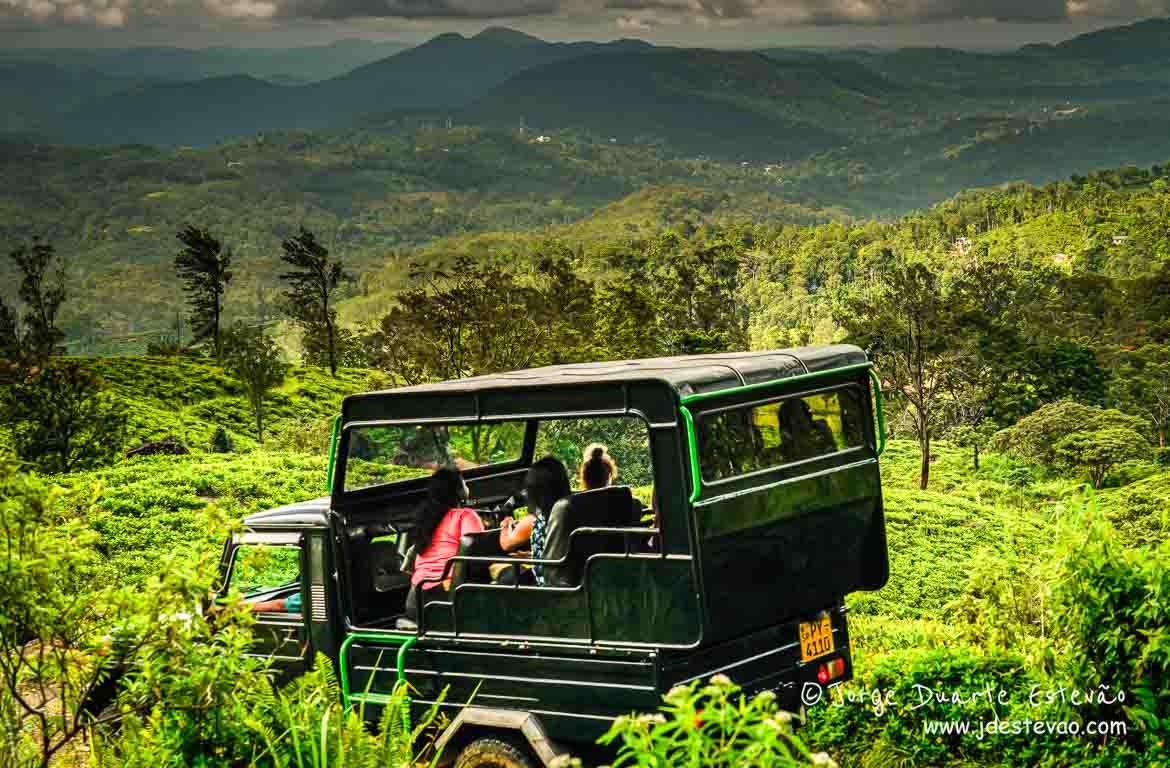 safari de jipe, floresta de sinharaja, sri lanka