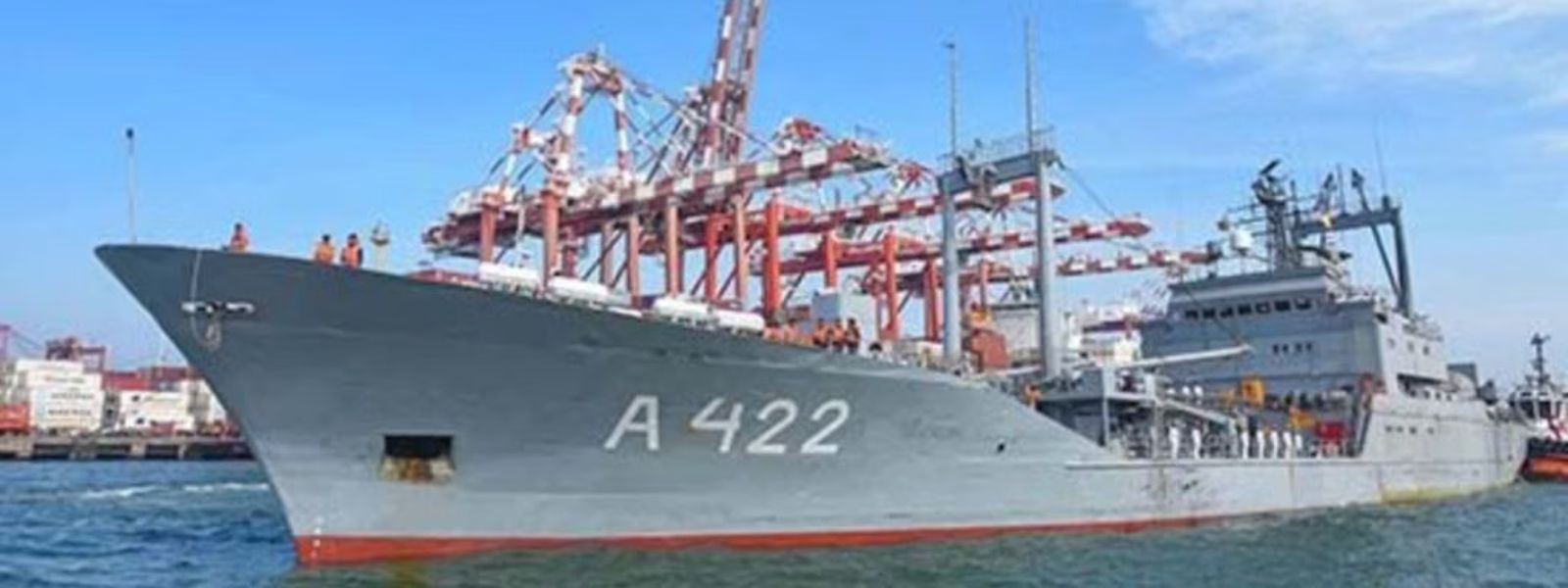 iris busheher 829680