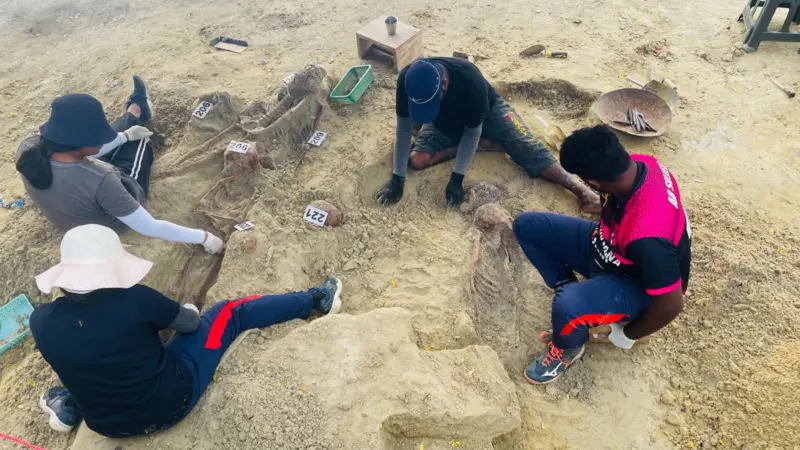 0faf2e50 8960 11f0 84c8 99de564f0440.jpg