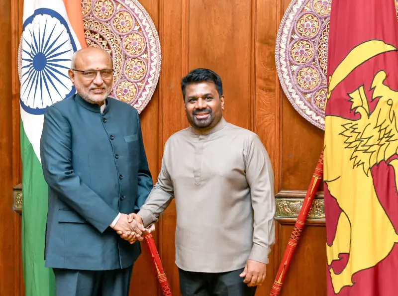 29b3f0ec b229 453d 9b3d 774d7abed0b9 large