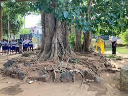 යන යන පාසැල ගොඩ ගත් අරුම පුදුම විදුහල්පති. images (17)